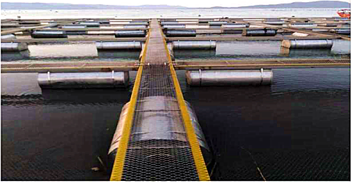 1604382604657749.png 微信圖片_20201103135024.png